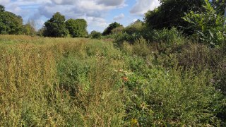 IMG_20220909_121615
