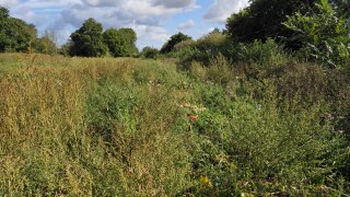 IMG_20220909_121617