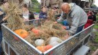 IMG_20220926_151457