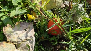 IMG_20220909_121620