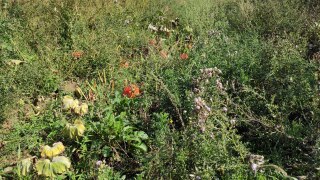 IMG_20220909_121647