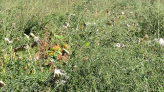 IMG_20220909_121826
