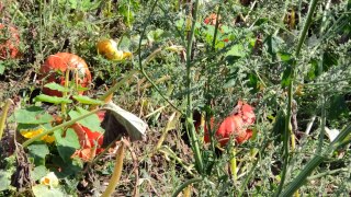 IMG_20220909_121919