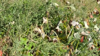 IMG_20220909_121928