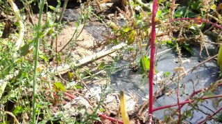 IMG_20220909_122008
