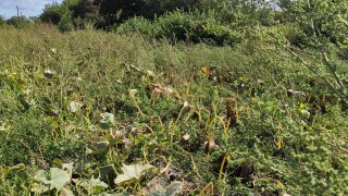 IMG_20220909_122118