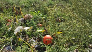 IMG_20220909_122126