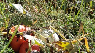 IMG_20220909_122148