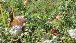 IMG_20220909_122154
