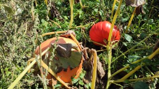 IMG_20220909_122248