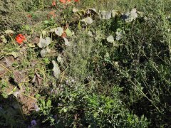 IMG_20220909_122317