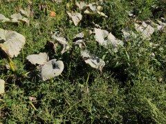 IMG_20220909_122438