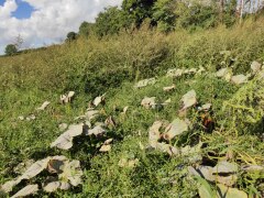IMG_20220909_122537