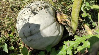 IMG_20220909_122738