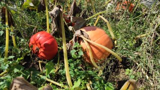 IMG_20220909_122741