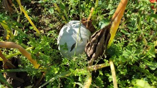 IMG_20220909_122743