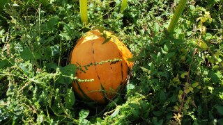 IMG_20220909_122827