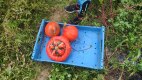 IMG_20220926_140019