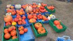 IMG_20220926_141731