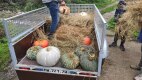 IMG_20220926_151026