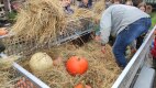 IMG_20220926_151126
