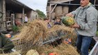 IMG_20220926_151128