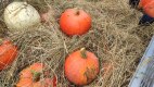 IMG_20220926_151130
