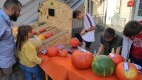 IMG_20221006_170518