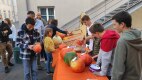 IMG_20221006_170528