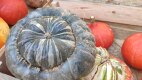 IMG_20221006_174459