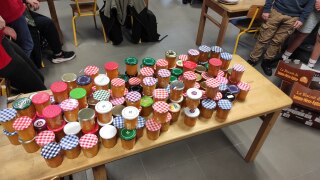 IMG_20231222_161126