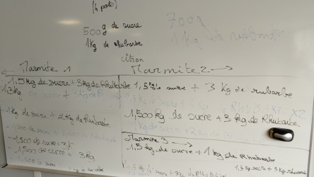 IMG20250604111050