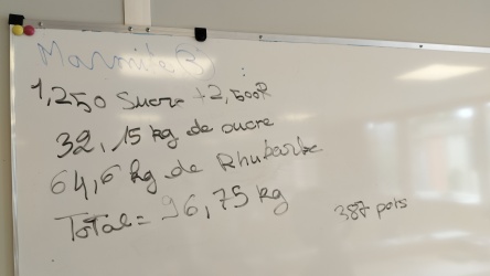 IMG20250605152000