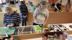 IMG_20241114_095332