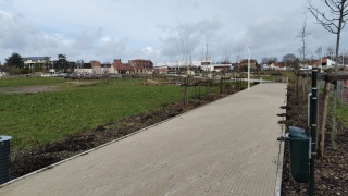 IMG20250225124444